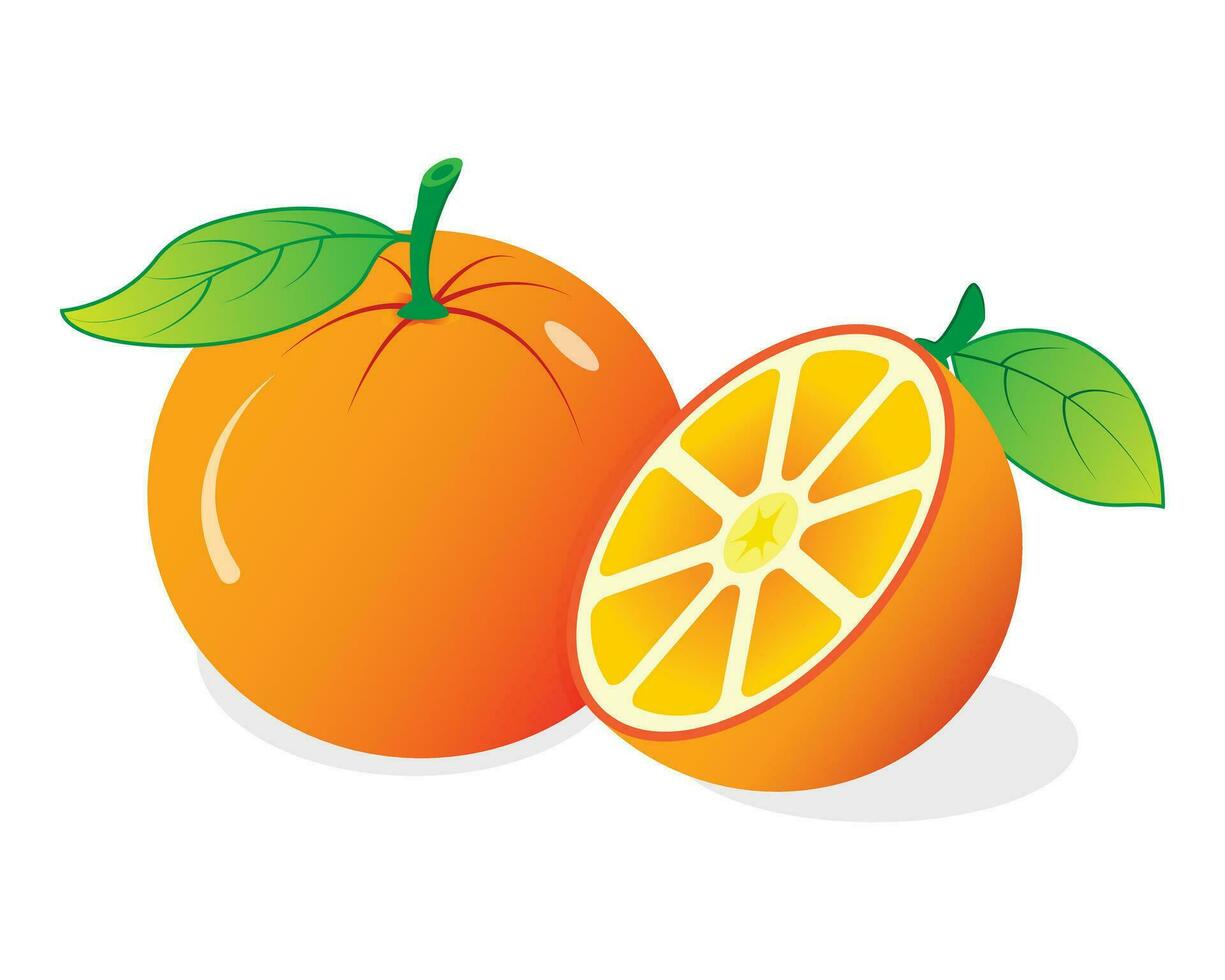 ilustración de un naranja con medio rebanada vector