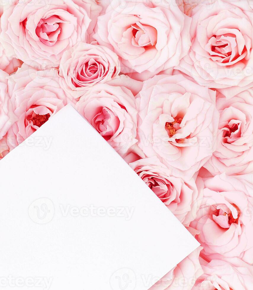 Greeting card with roses photo