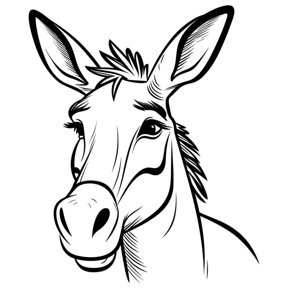 Cute donkey head coloring page vector