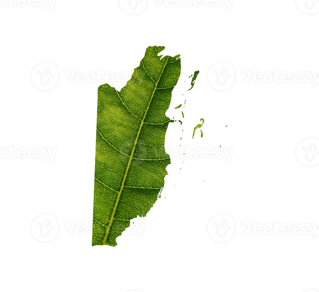 Belize map made of green leaves, concept ecology Map green leaf png