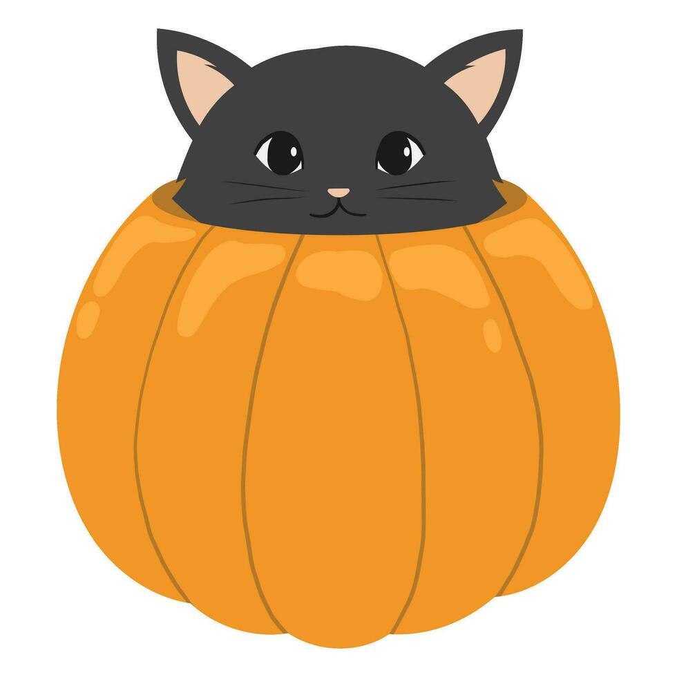 halloween black cat in the pumpkin vector