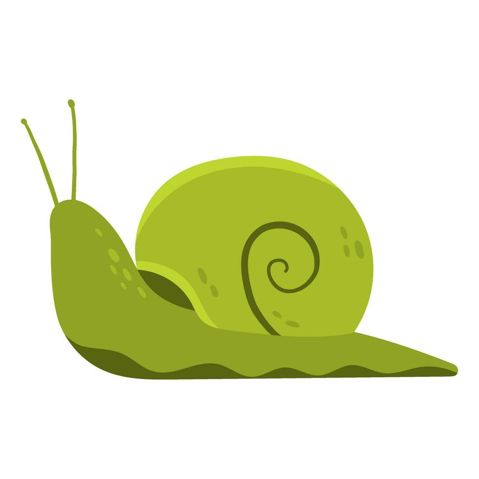 green snail animal vector