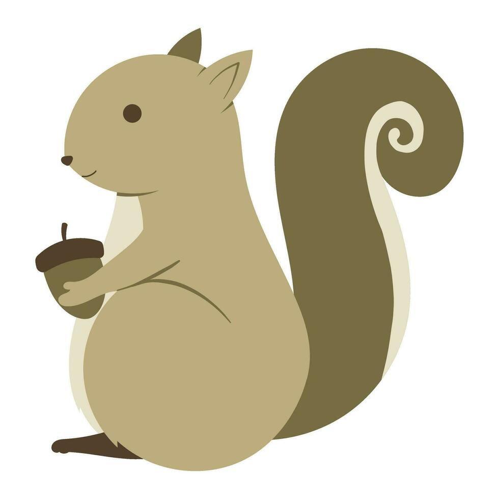 squirrel with acorn vector