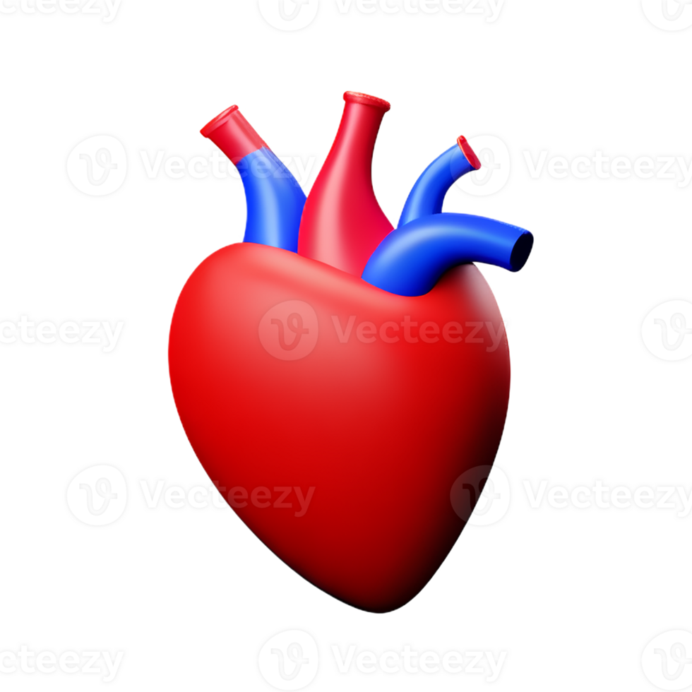 humano real coração 3d Renderização ícone ilustração png