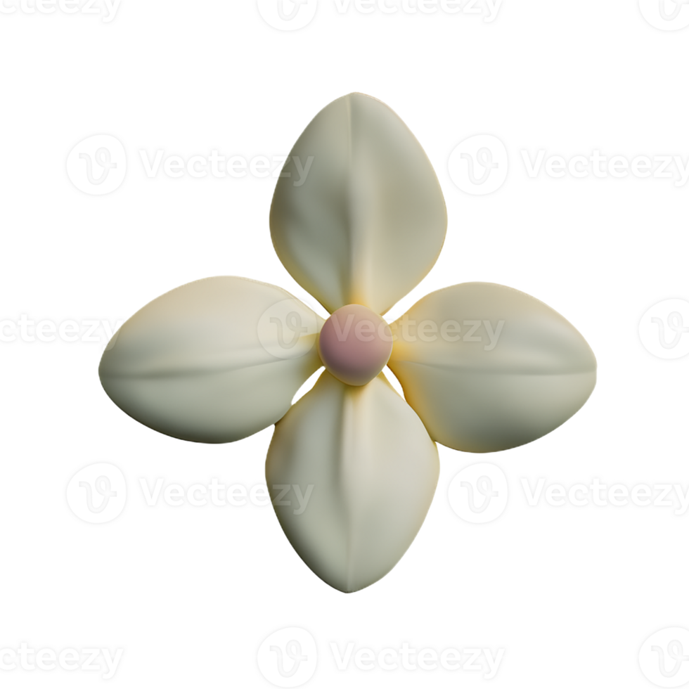 jasmine flower 3d rendering icon illustration png