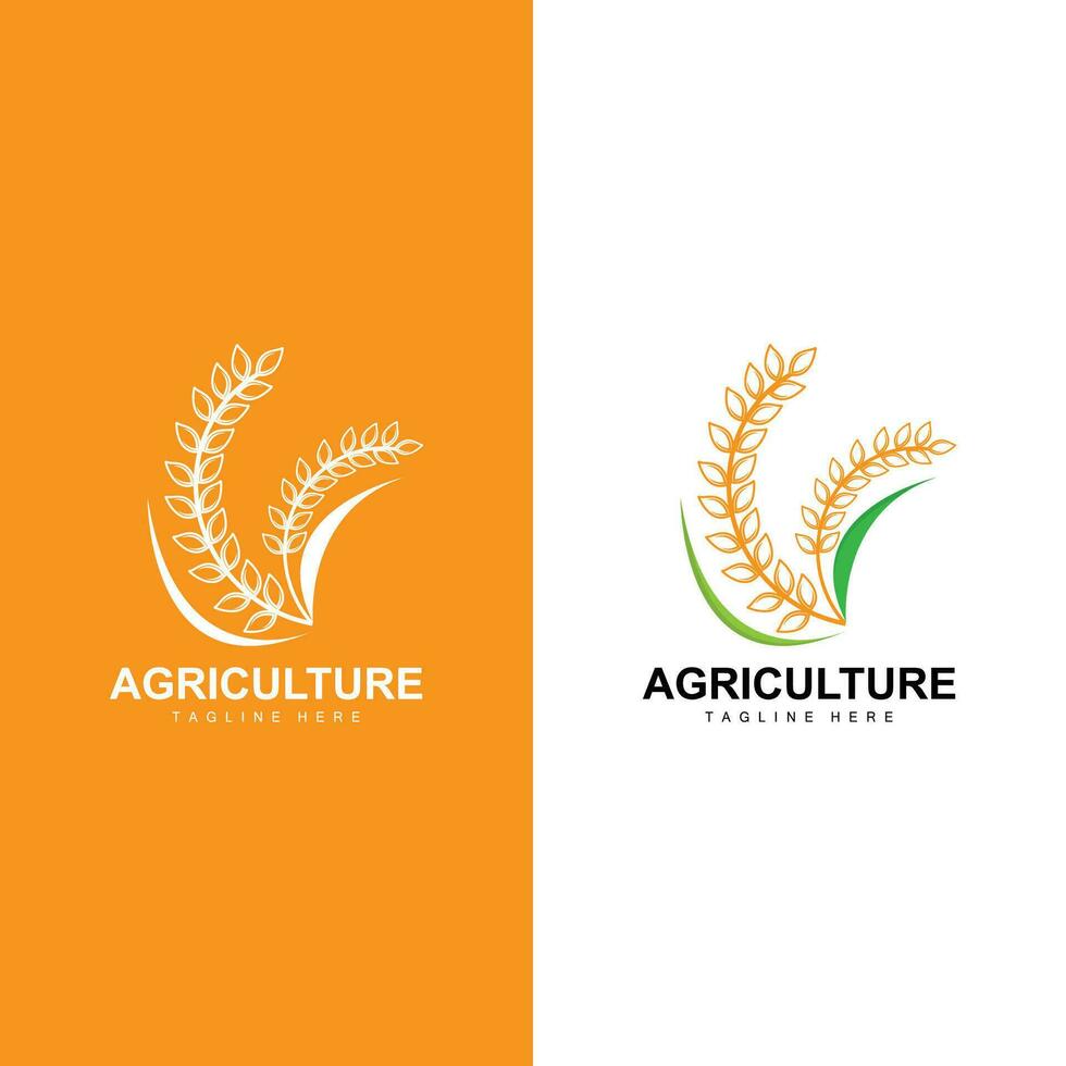 Rice Logo, Farm Wheat Logo Design, Vector Symbol Icon Graphic Illustration