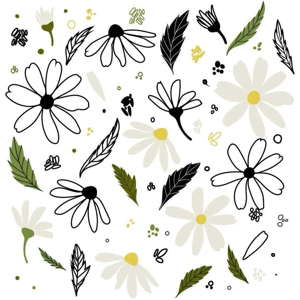 White daisy chamomile flowers. Camomile vector illustration set. Cute round flower head plant nature collection. Decoration element. Love card symbol. Flat design for cards, packaging, prints, textile