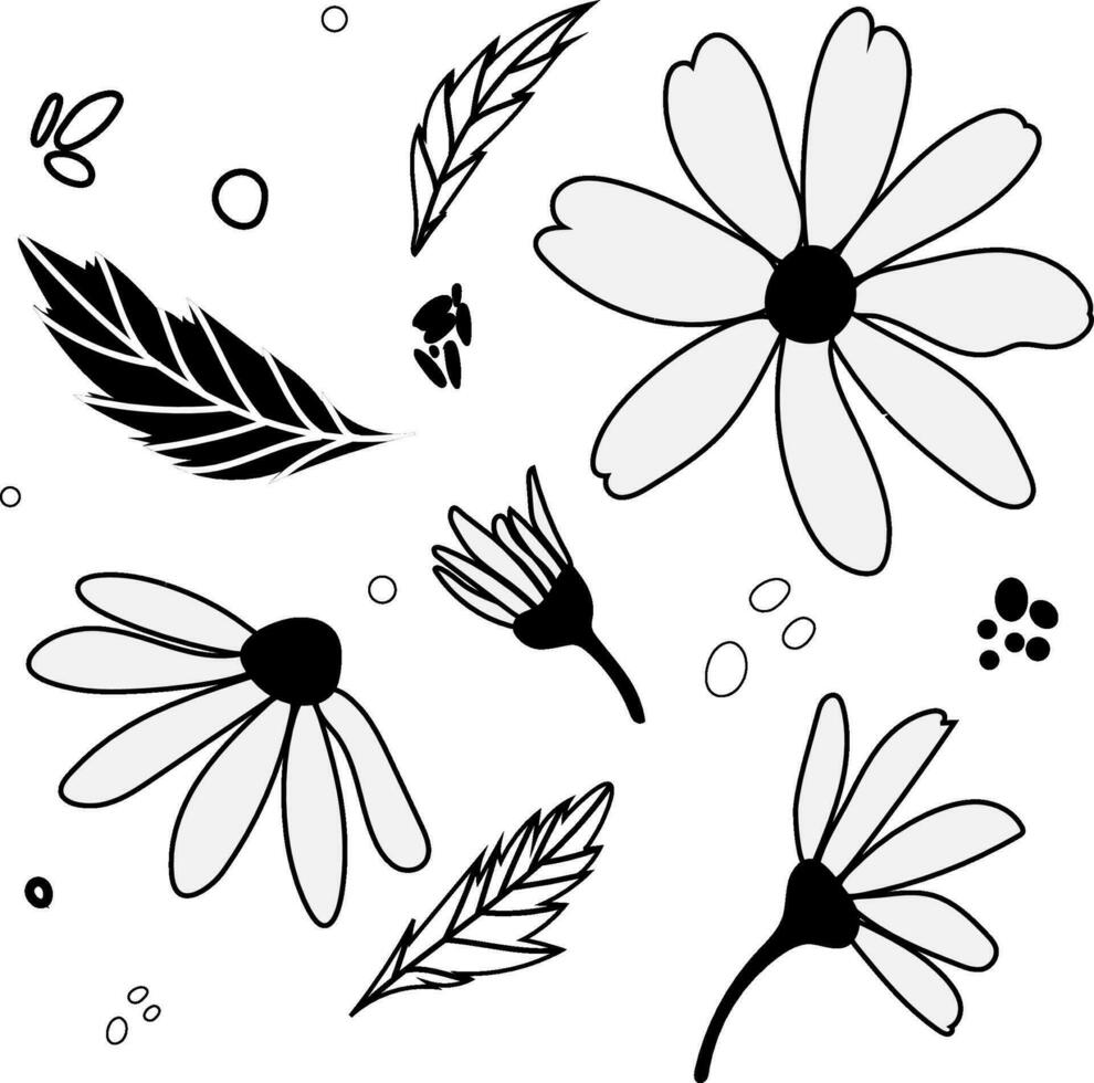 White daisy chamomile flowers. Camomile vector silhouette illustration set. Outline collection. Decoration element. Love card symbol. Flat design for cards, packaging, prints, textile