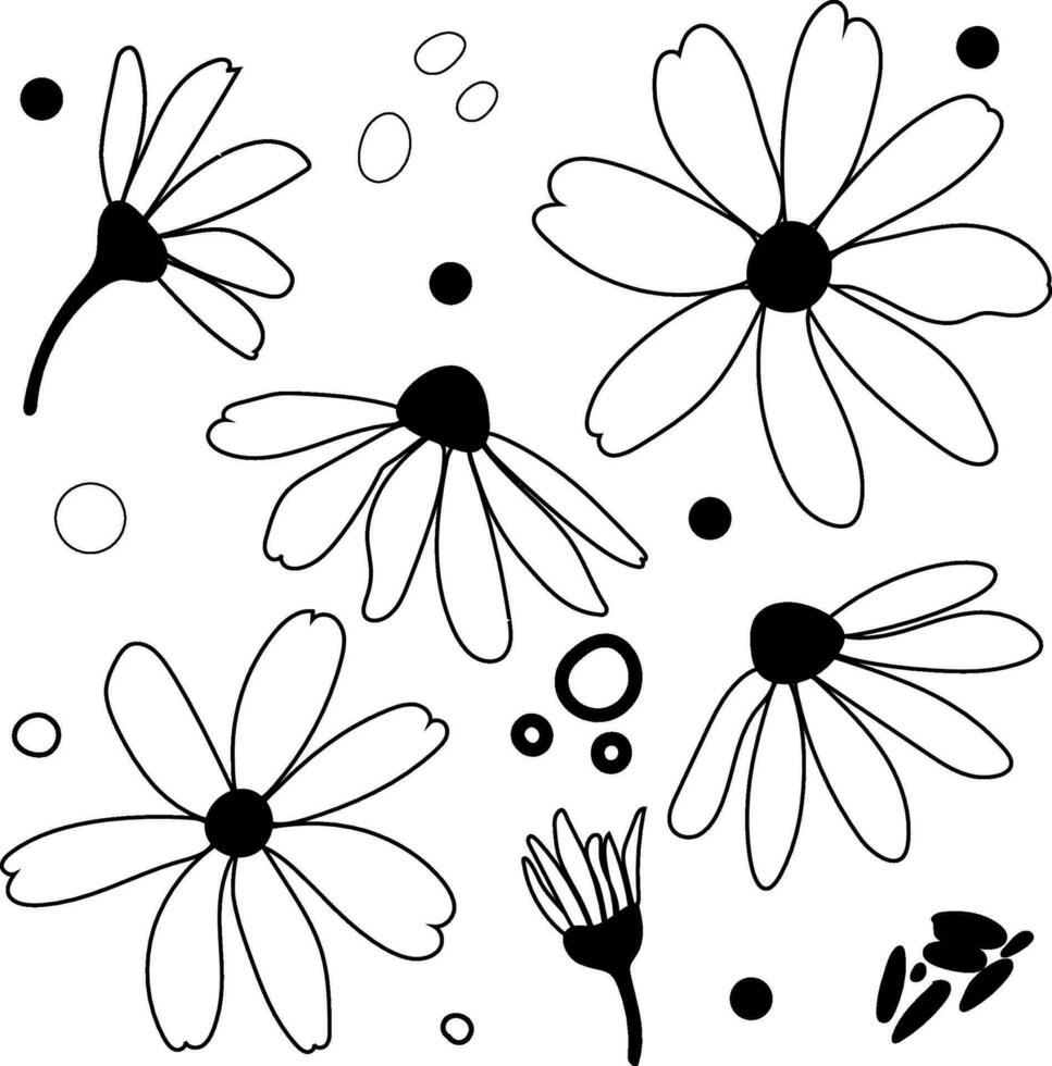 White daisy chamomile flowers. Camomile vector silhouette illustration set. Outline collection. Decoration element. Love card symbol. Flat design for cards, packaging, prints, textile