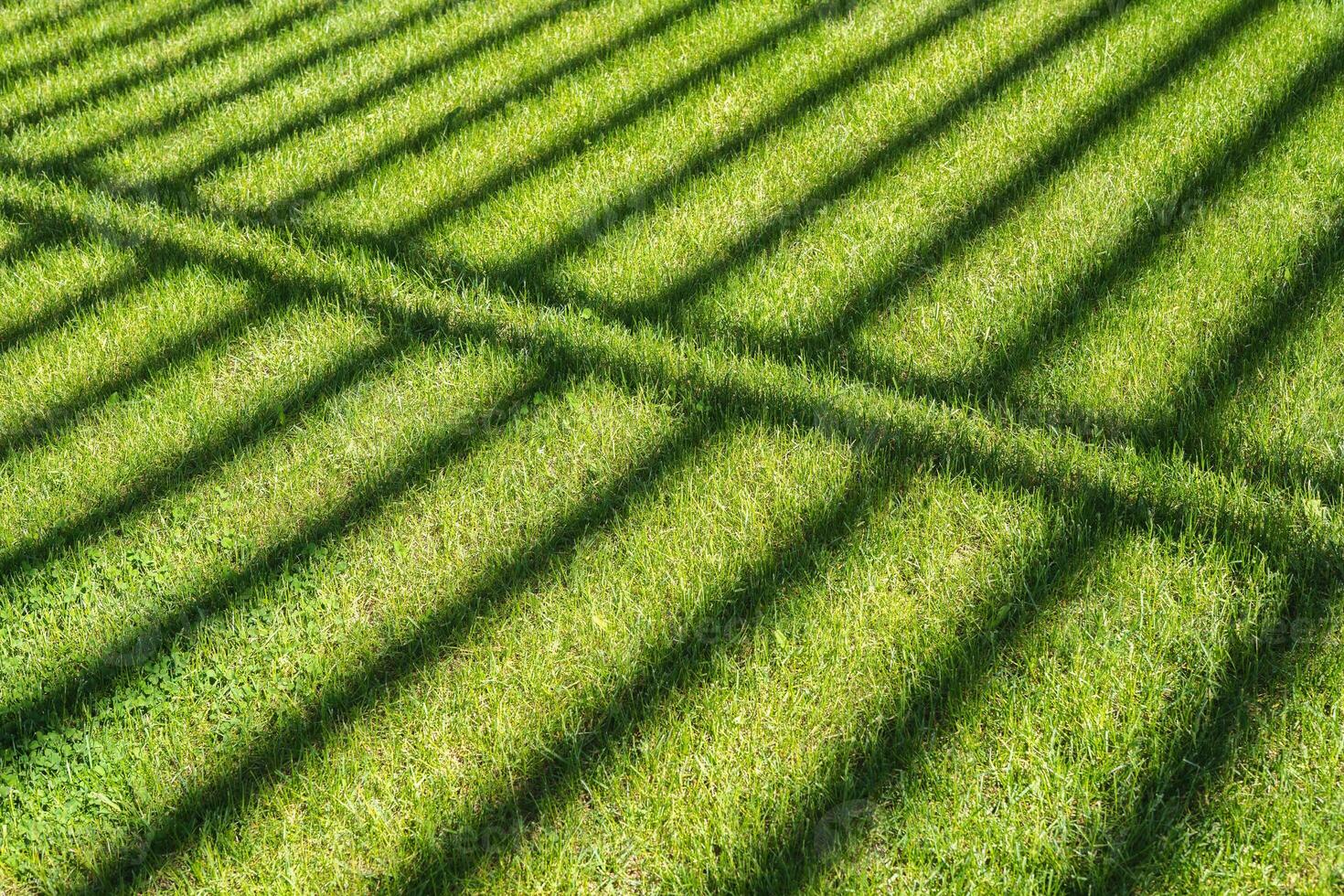 symmetrical shadows from the fence on the green lawn photo