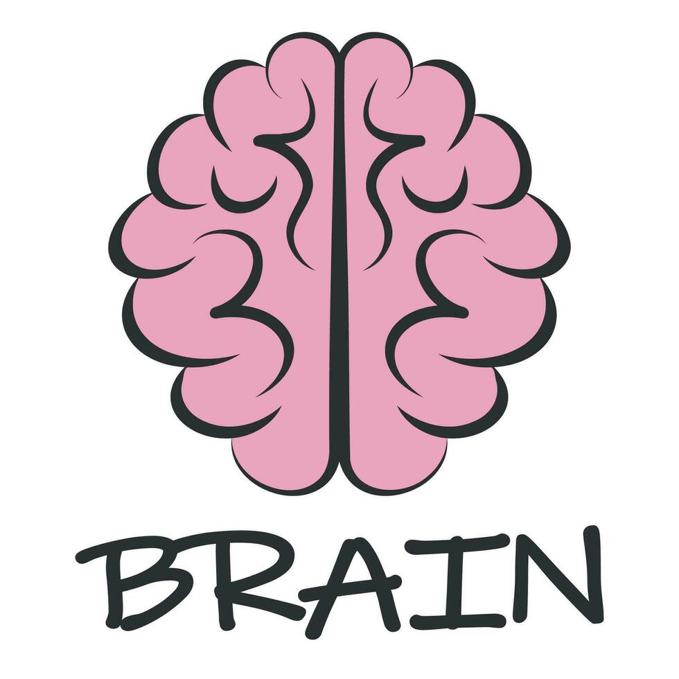 Pink Brain with convolutions and the inscription Brain vector