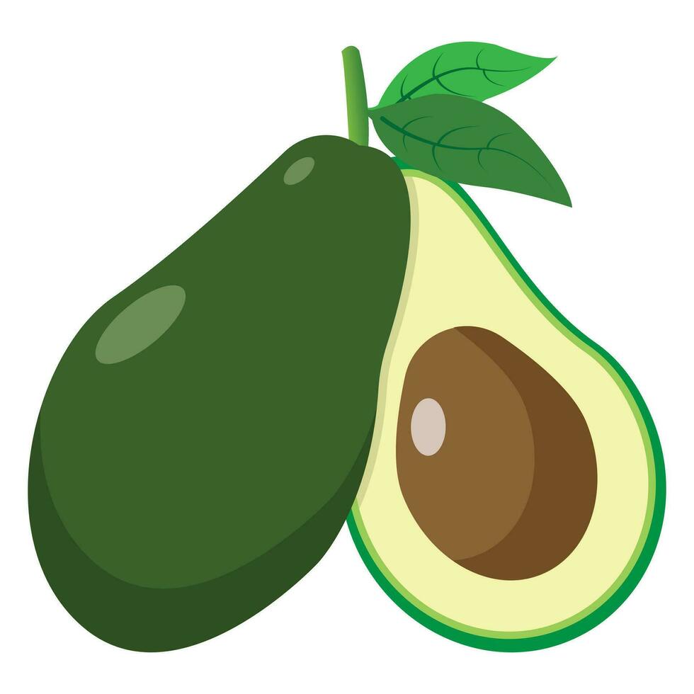 Avocado with Half Illustration vector