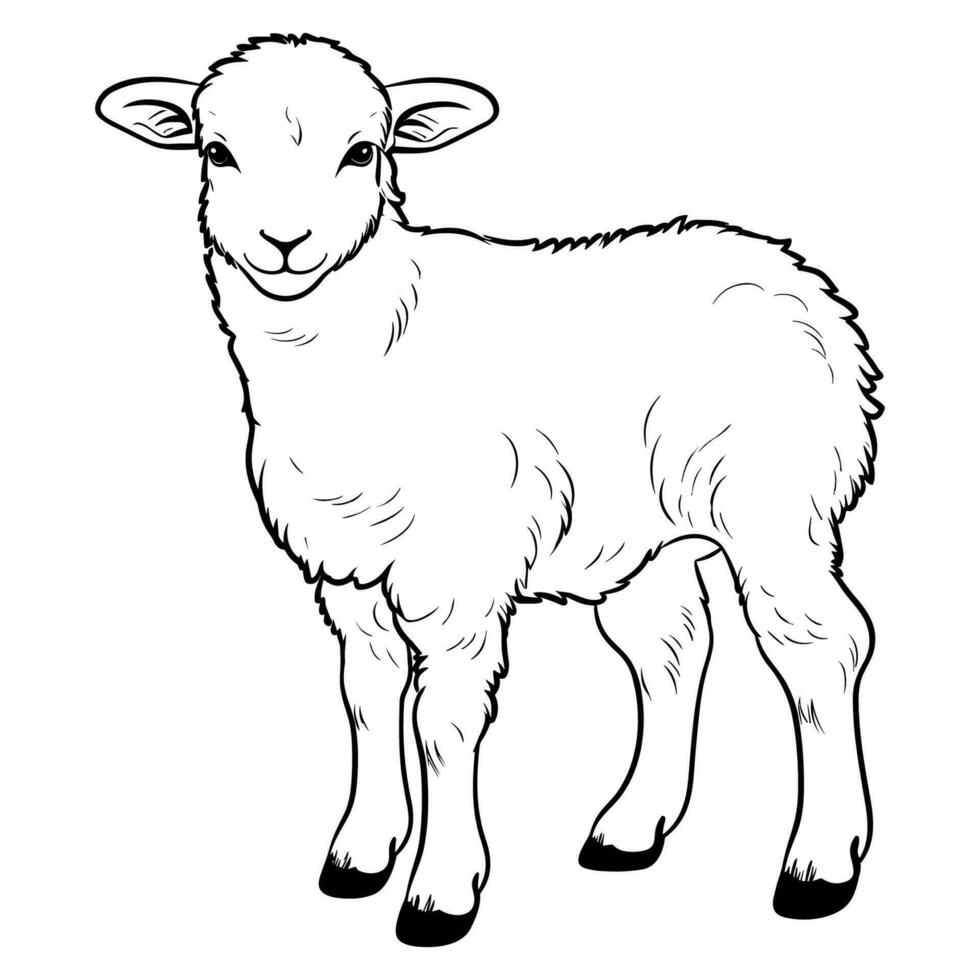 Cute sheep coloring page vector