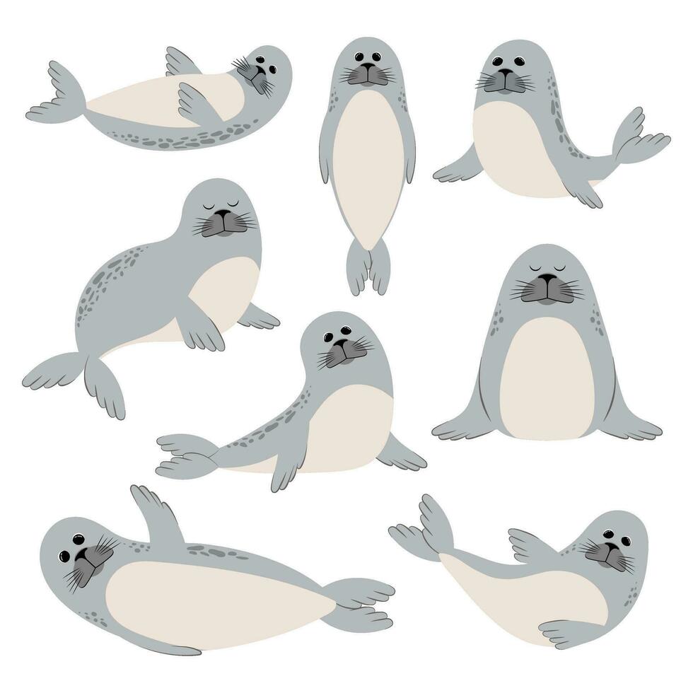 Seal. Set of animals. Illustration on a white background. vector