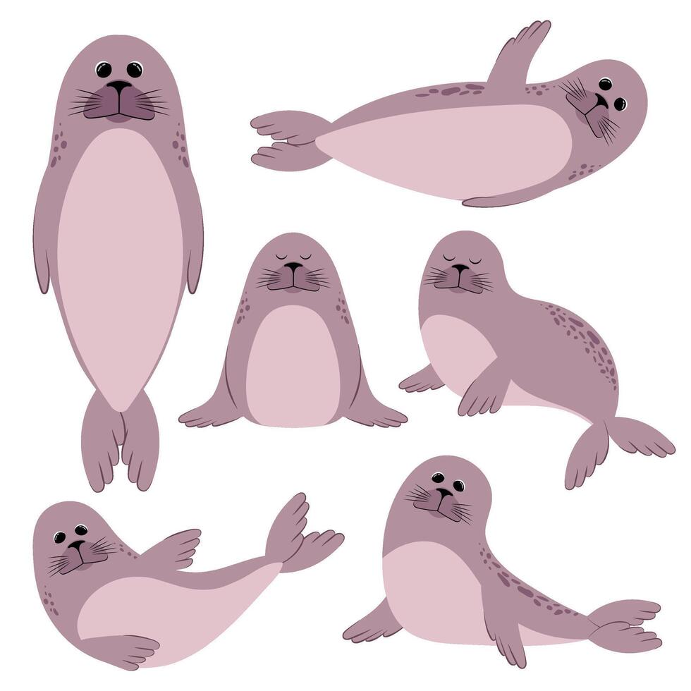 Set of animals. Seal. Illustration on a white background. vector