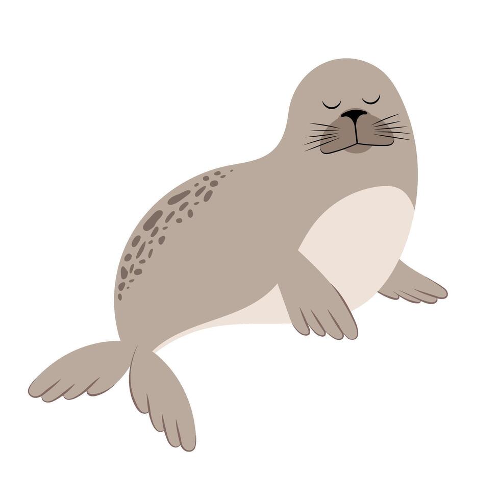 Seal. Illustration on a white background. vector