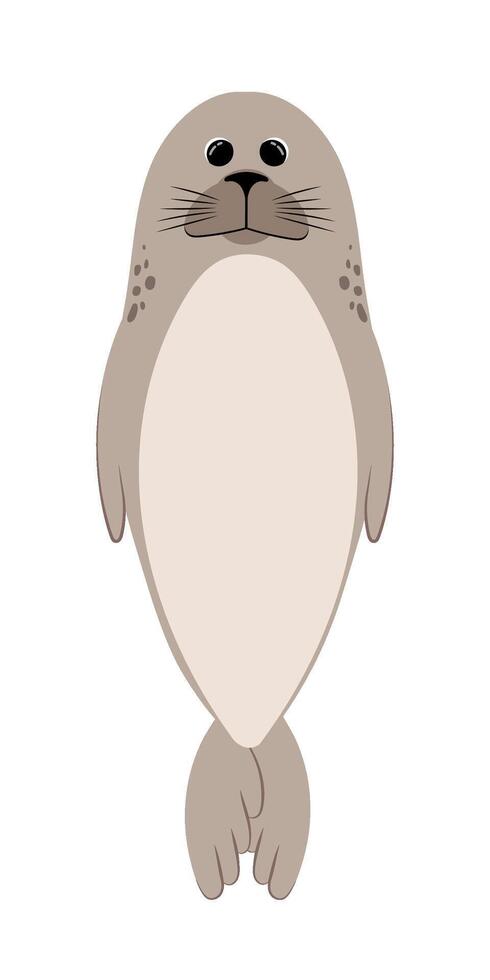 Seal. Illustration on a white background. vector