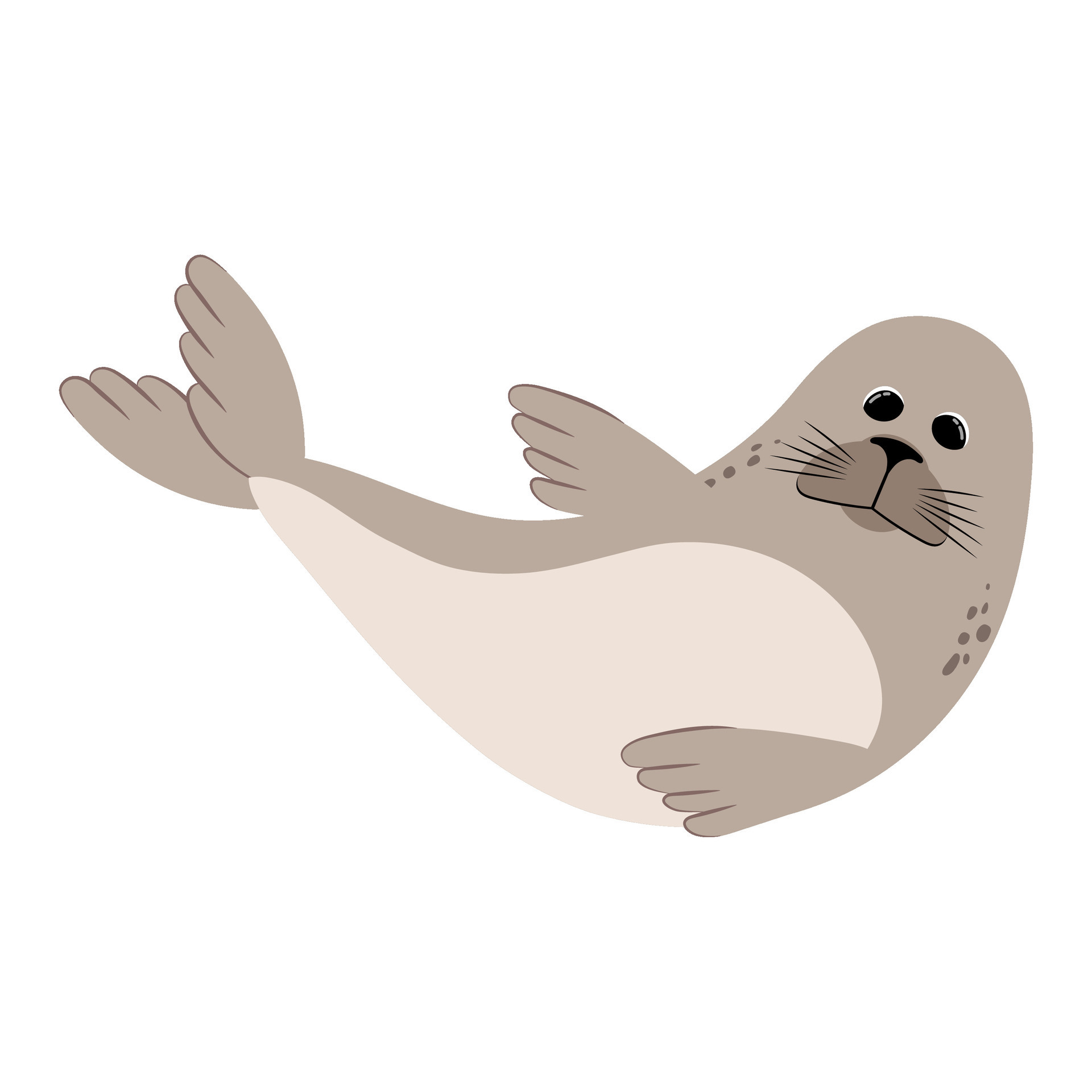Seal. Illustration on a white background. 29177868 Vector Art at Vecteezy