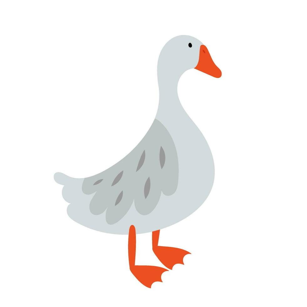 Farm gray goose. Isolated vector illustration