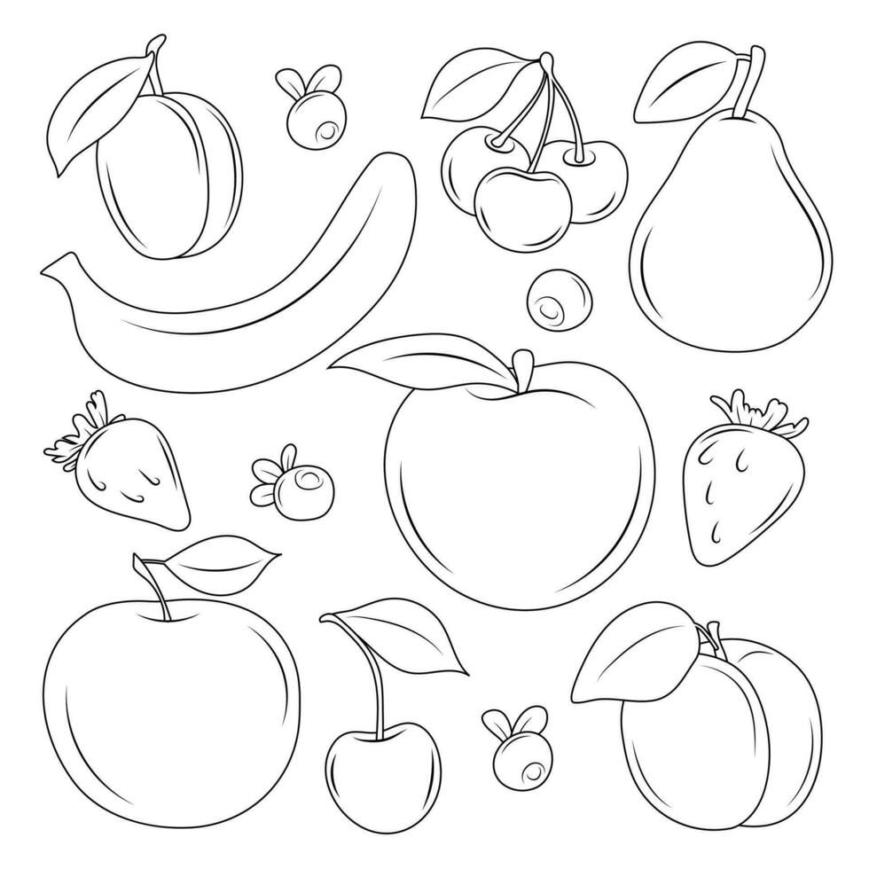 Set of linear illustrations of fruits. Doodle. Coloring. vector