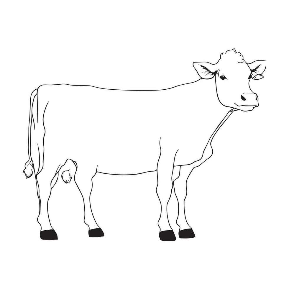 Vector image hand drawing Cow outline illustration