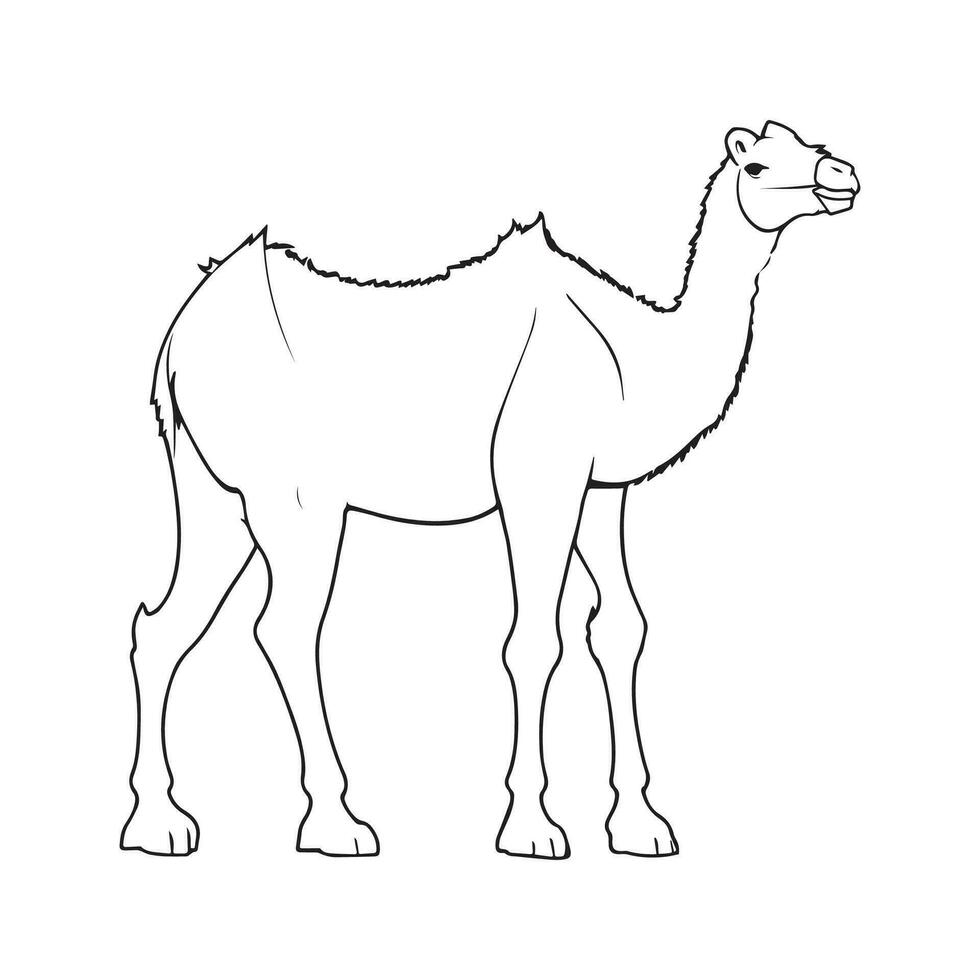 Vector image hand drawing Camel outline illustration