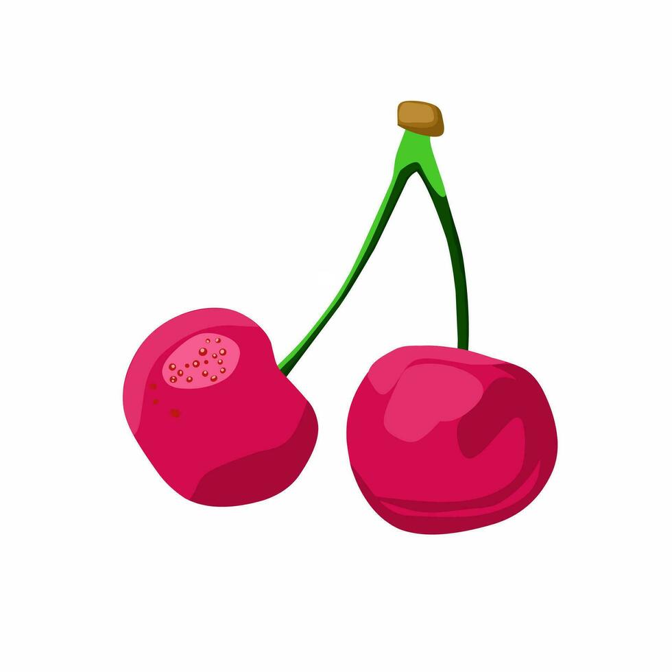 Vector illustration, two cherries on an isolated white background.