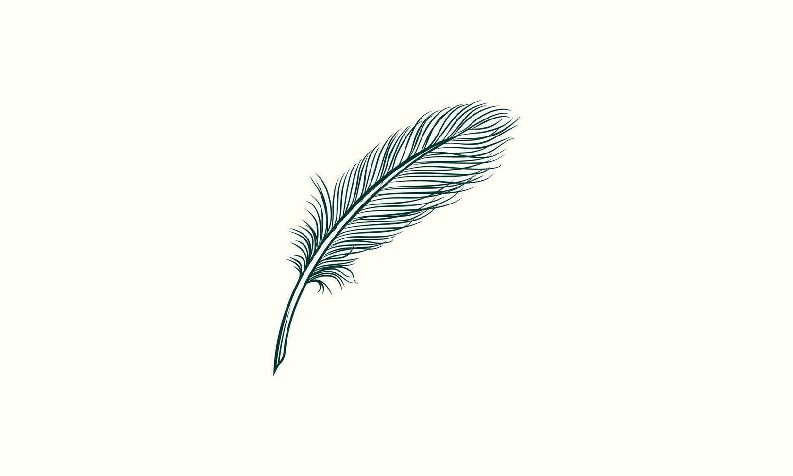 line art feather logo template vector