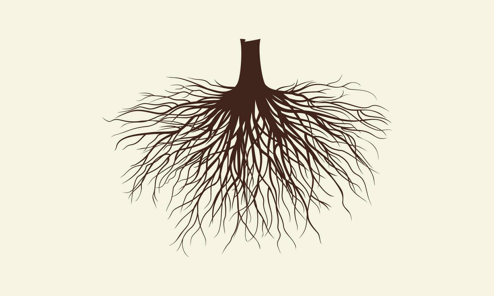 root line art vector