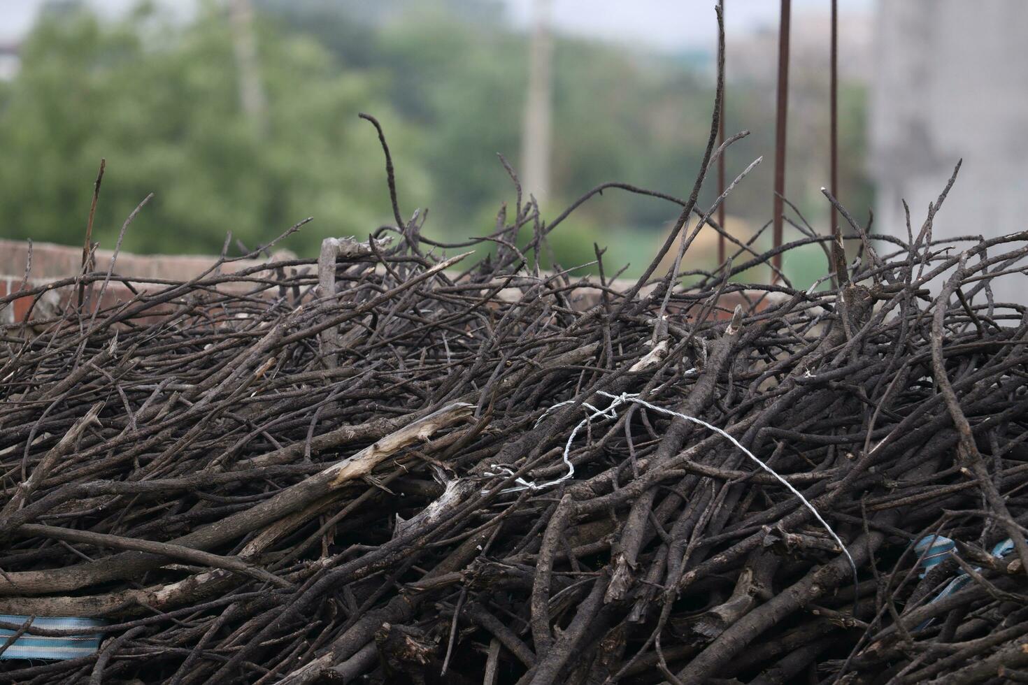 Pile of tree branch, wood stick photo, Stock image