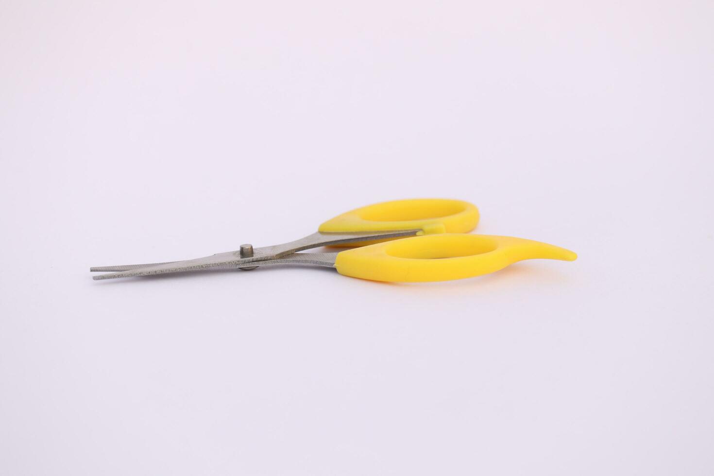 This is a small Scissor photo