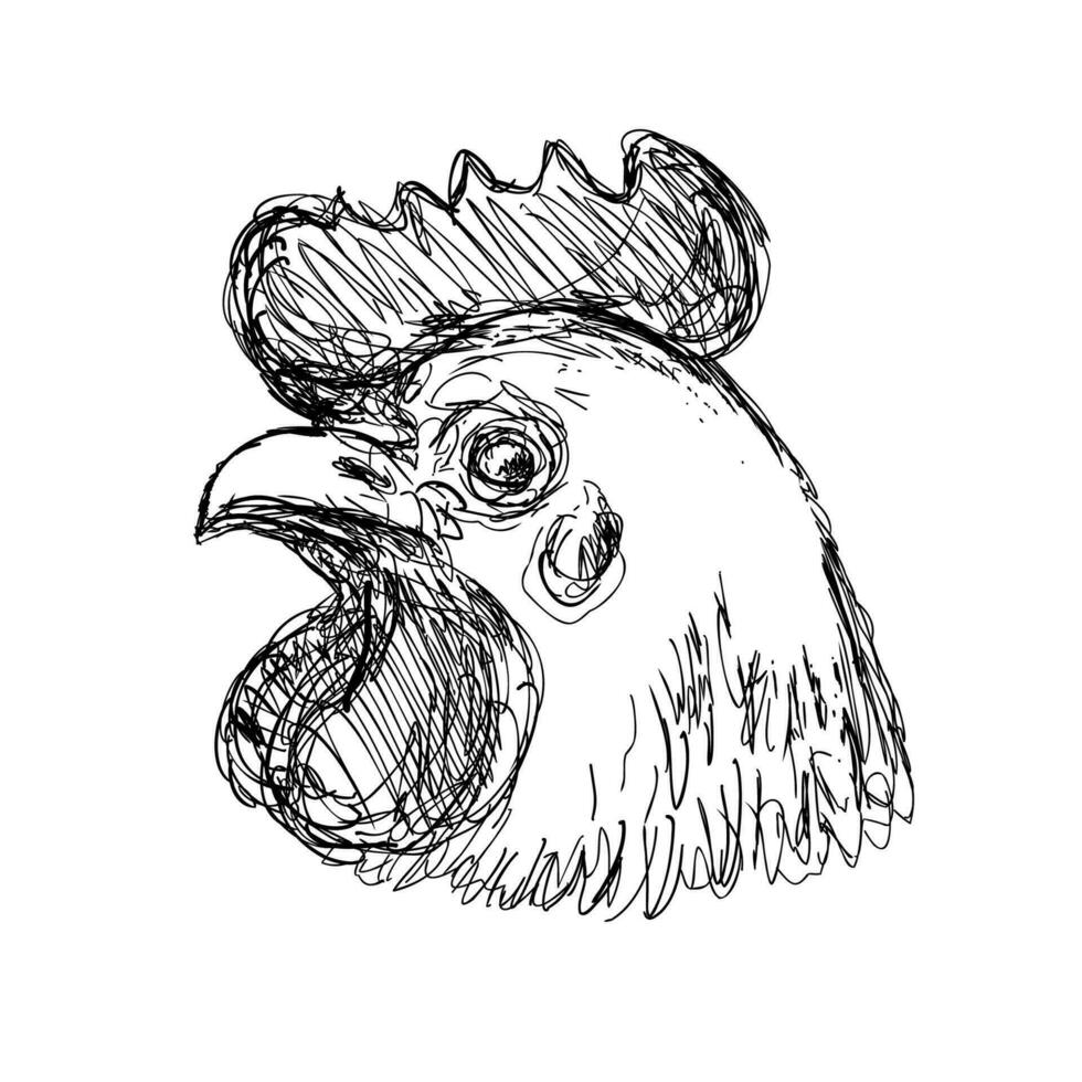 Leghorn Chicken or Hen Head Side View Drawing vector