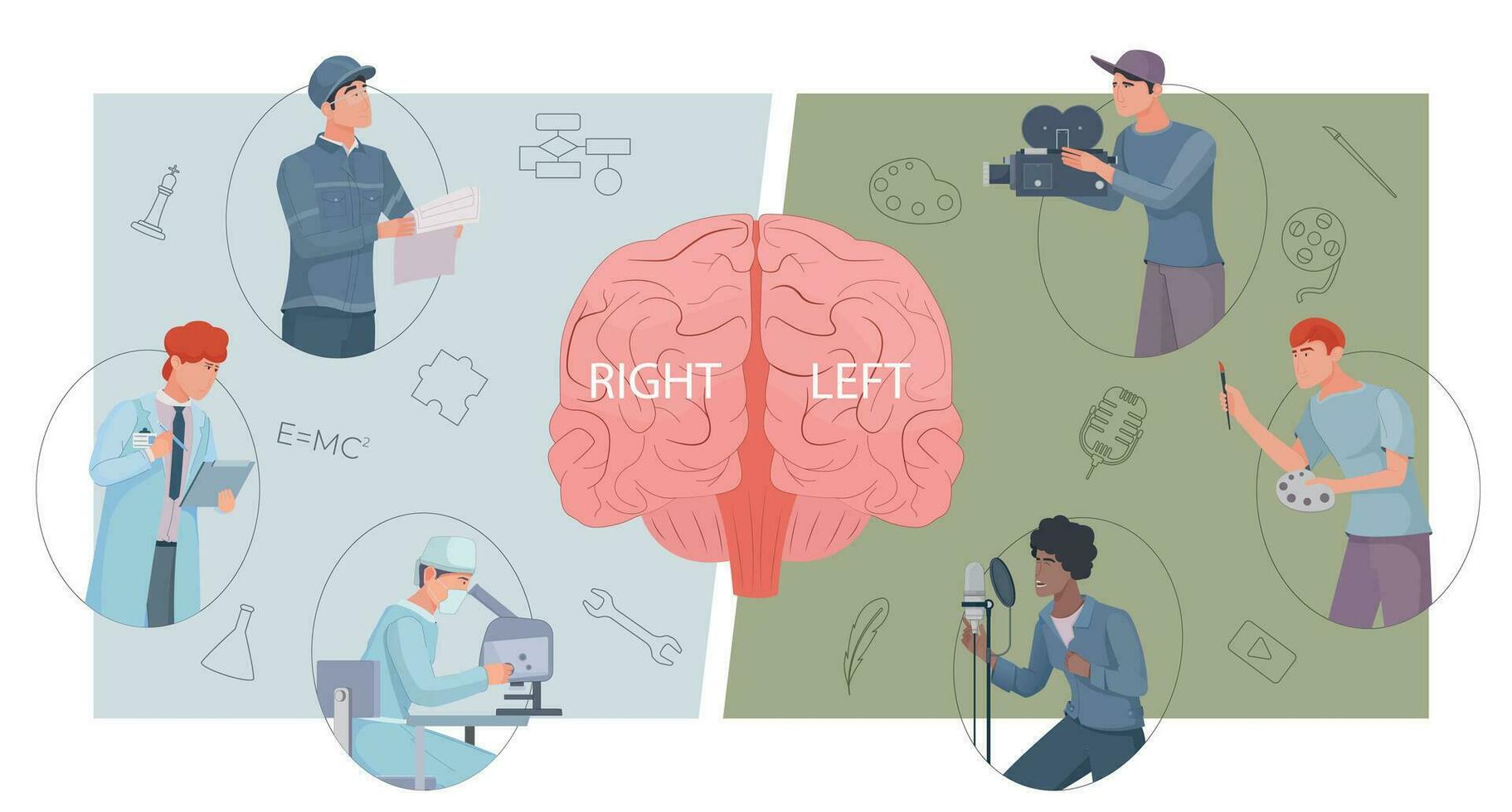 cerebro función antecedentes vector