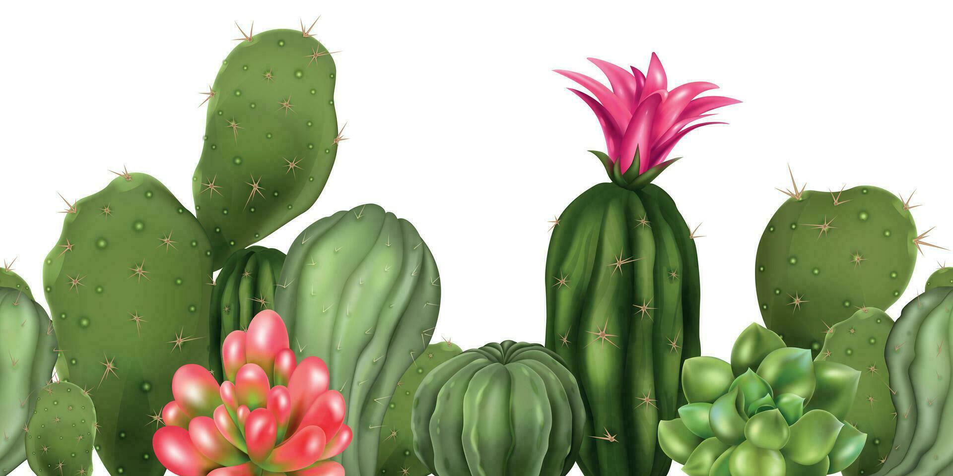 realista cactus sin costura composición vector