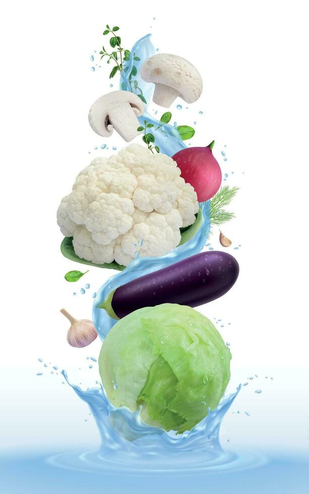 Vegetable Water Splash Composition vector