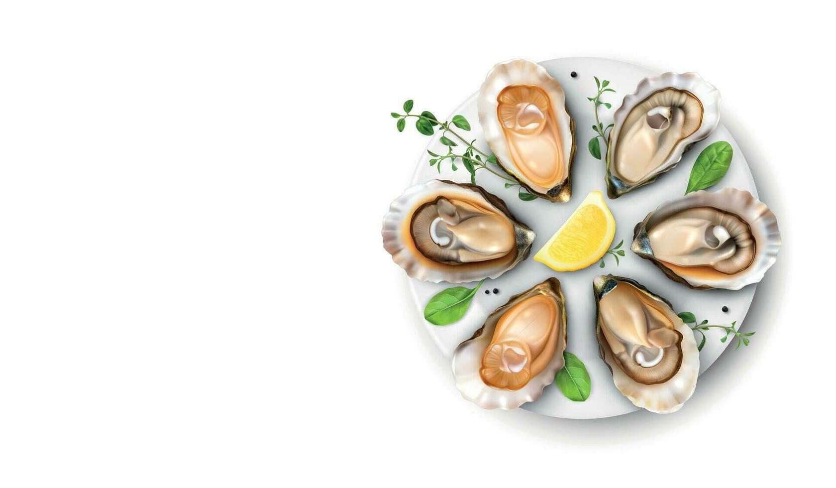 Oysters Realistic Composition vector