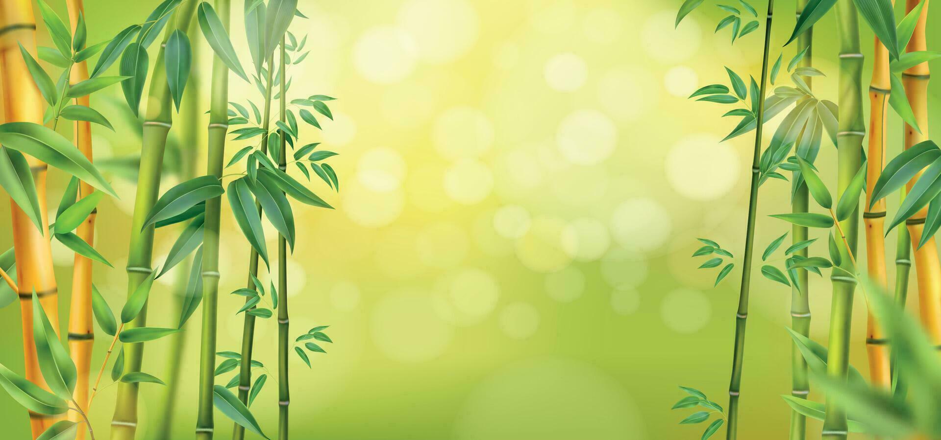 Realistic Bamboo Background vector