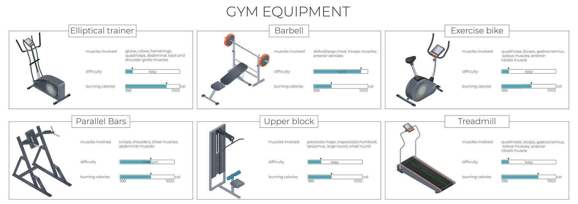 Gym Equipment Infographic vector