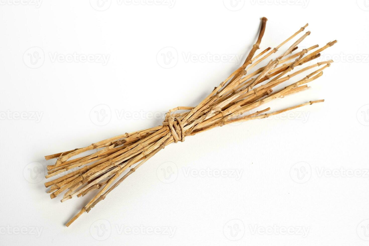 Cogon grass rumput alang-alang on the white background photo