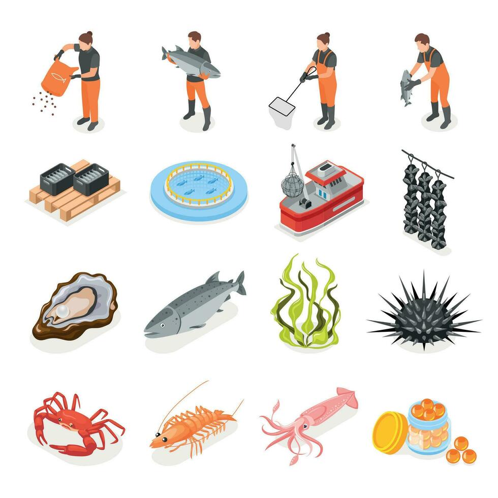 Mariculture Isometric Icon Set vector