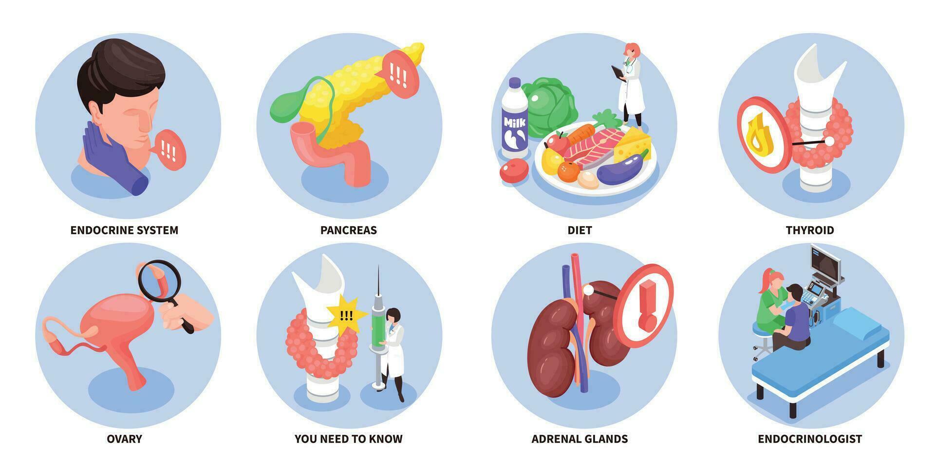 Endocrinology