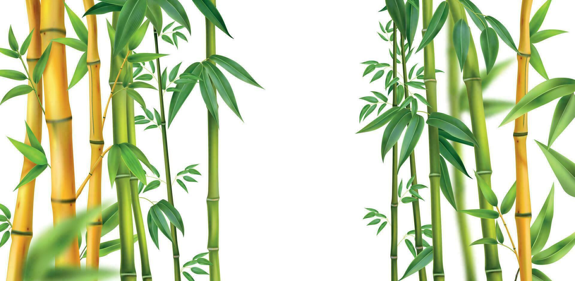 realista bambú aislado composición vector