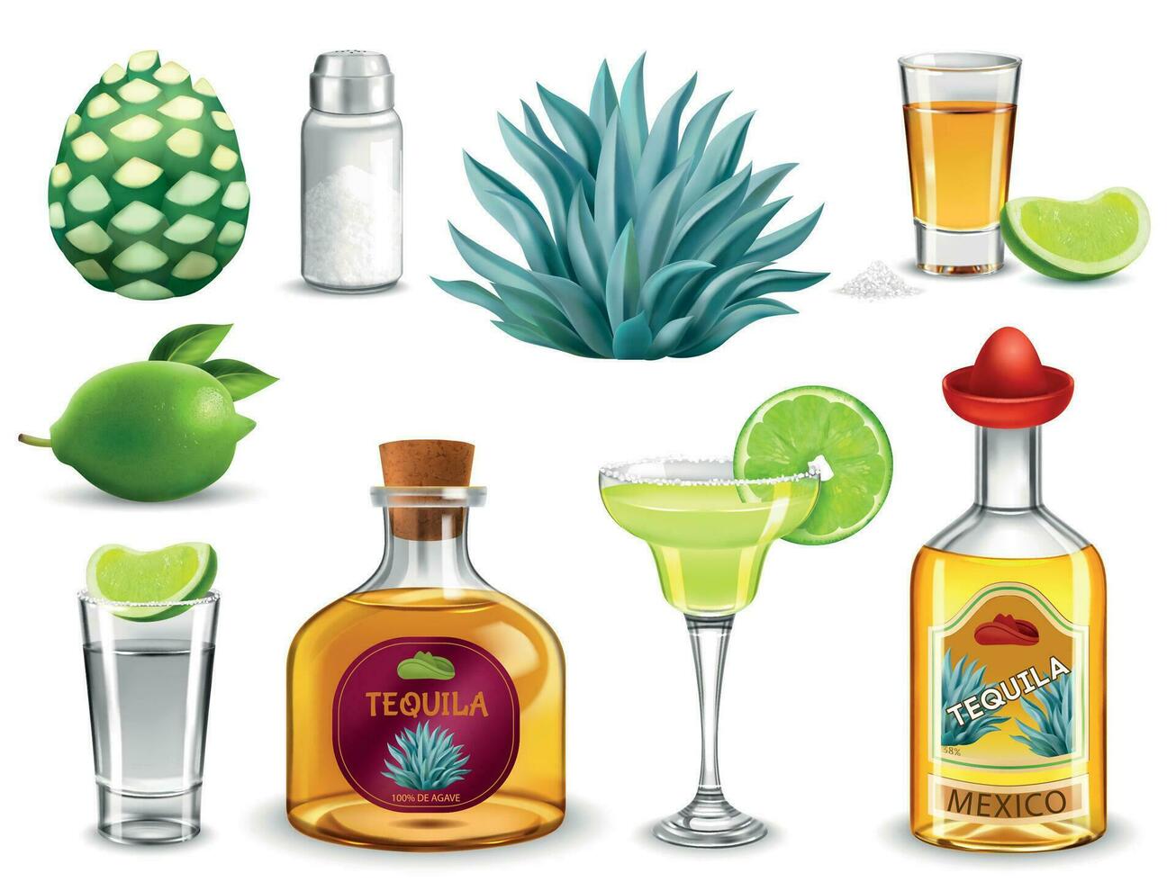 Tequila Realistic Set vector