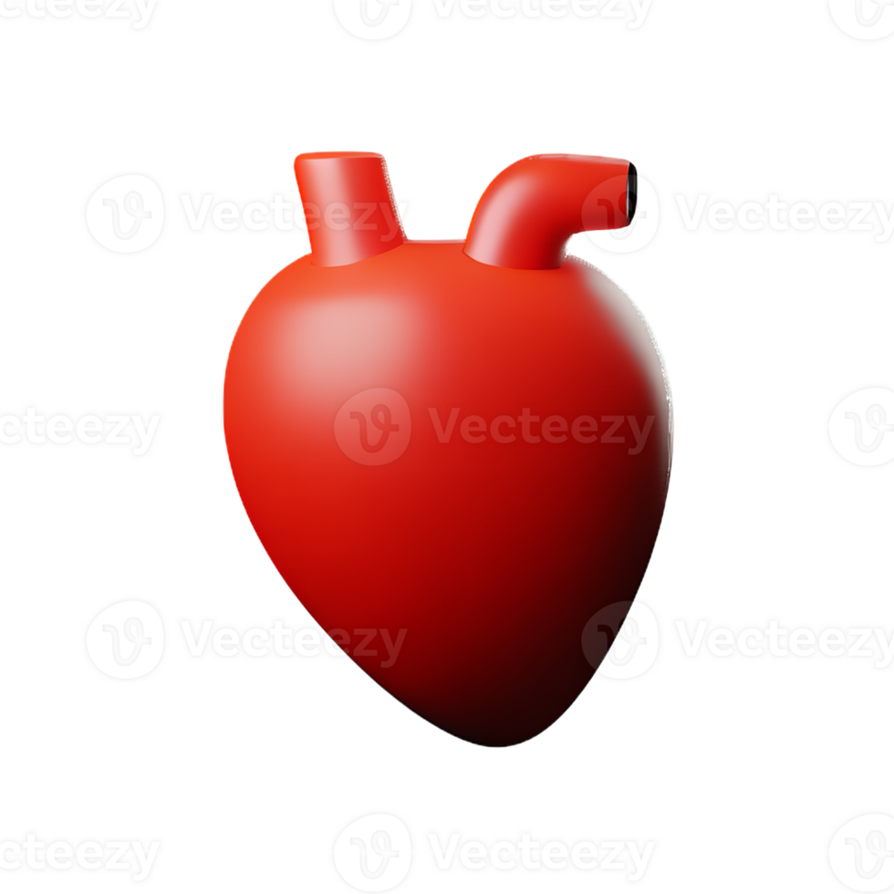 human real heart 3d rendering icon illustration png