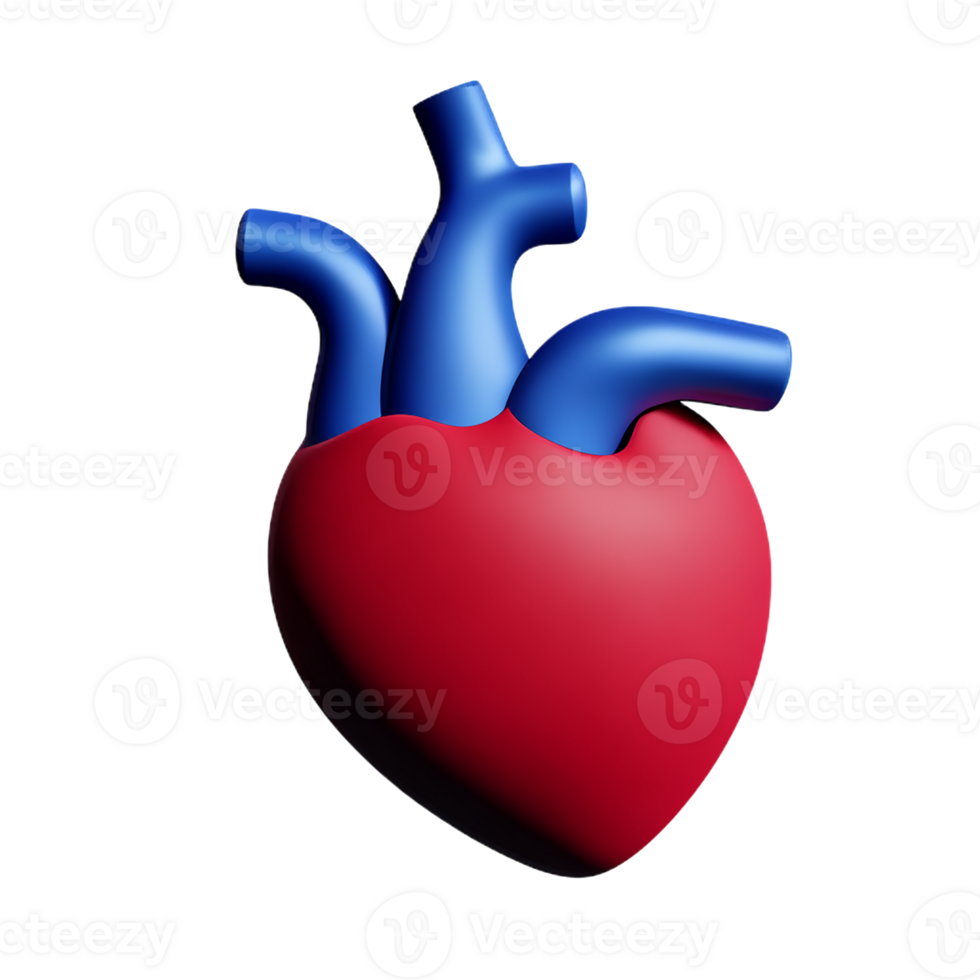 humano real coração 3d Renderização ícone ilustração png