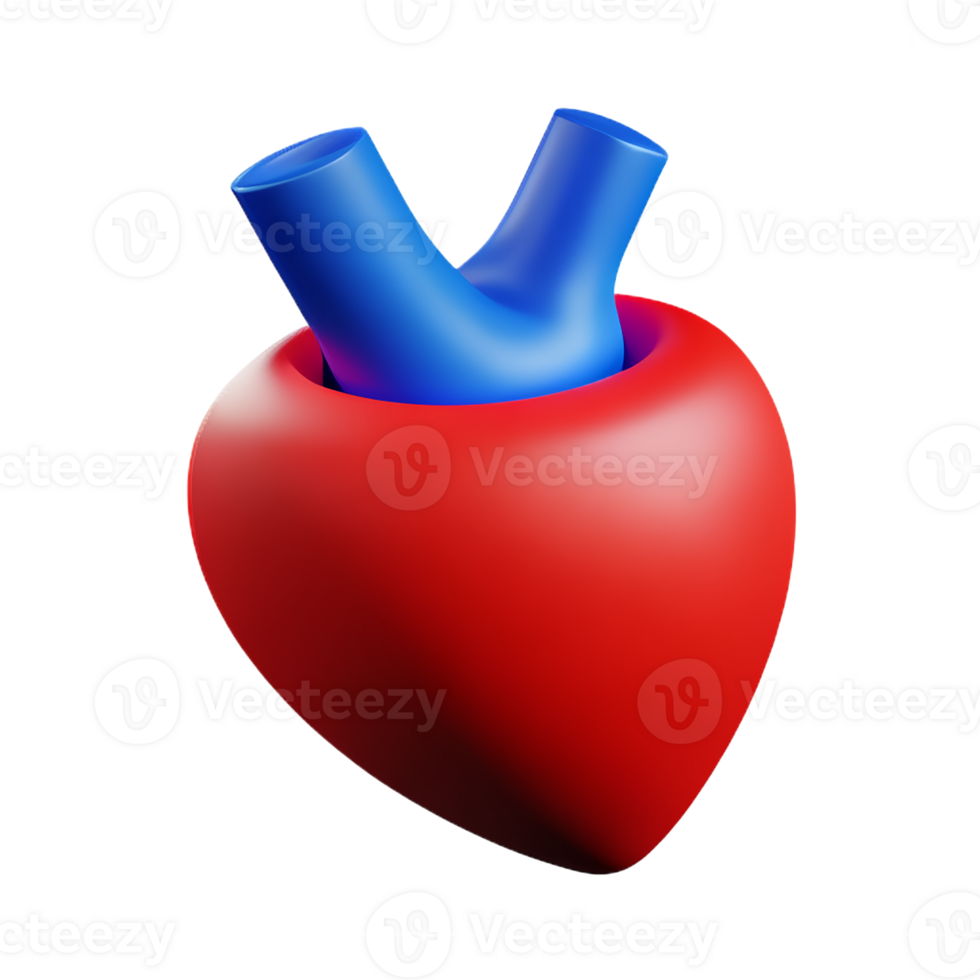 human real heart 3d rendering icon illustration png
