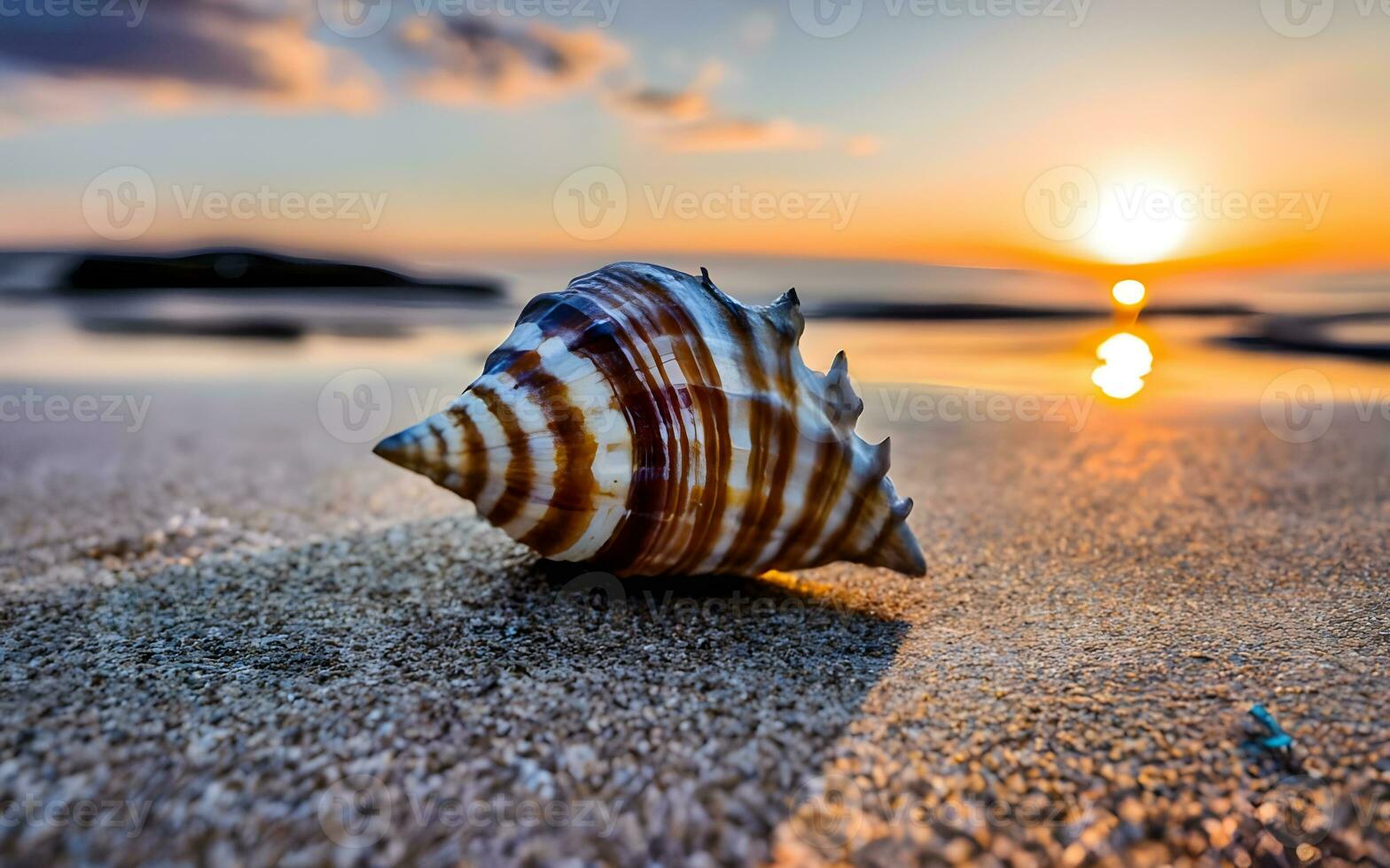 Mesmerizing Seashell Patterns Unveiled, Nature's Artistry in the Heart of the Sandy Shoreline, an Ode to Coastal Elegance and Oceanic Wonders. AI Generated photo