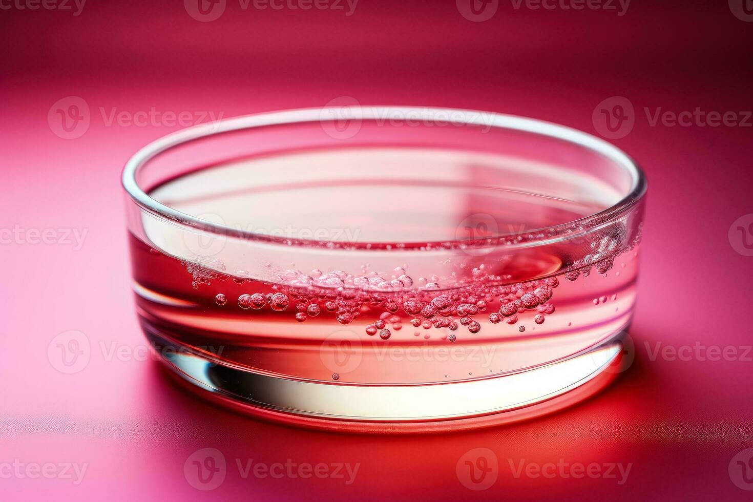 Petri dish with growing virus cultures isolated on a gradient red background photo