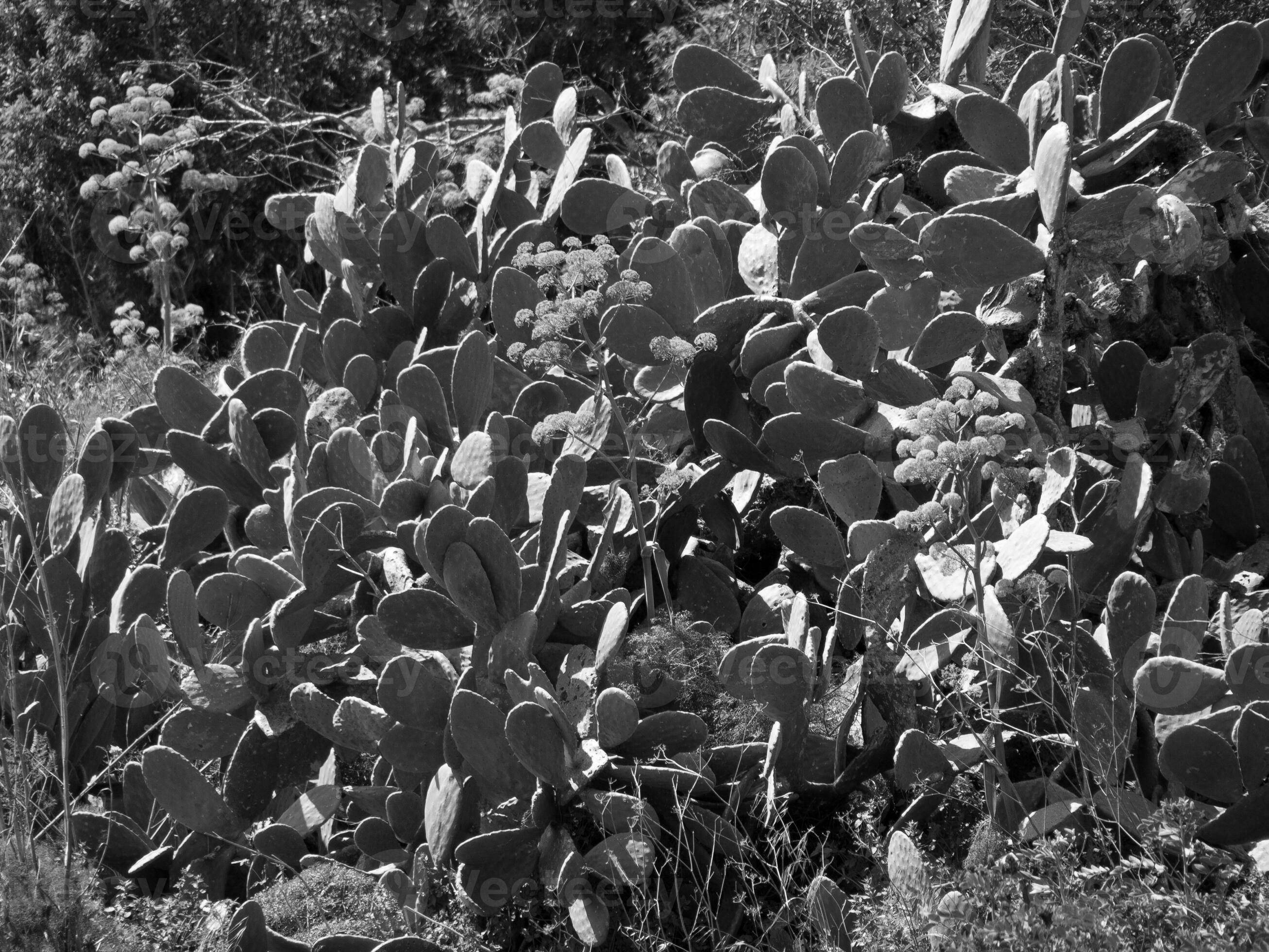 The island of malta 29191111 stock photo at vecteezy