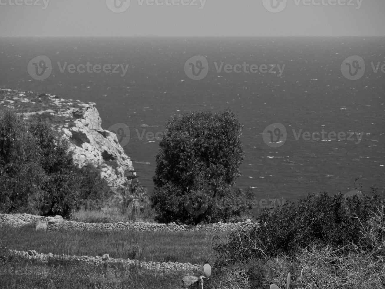 the island of Malta photo